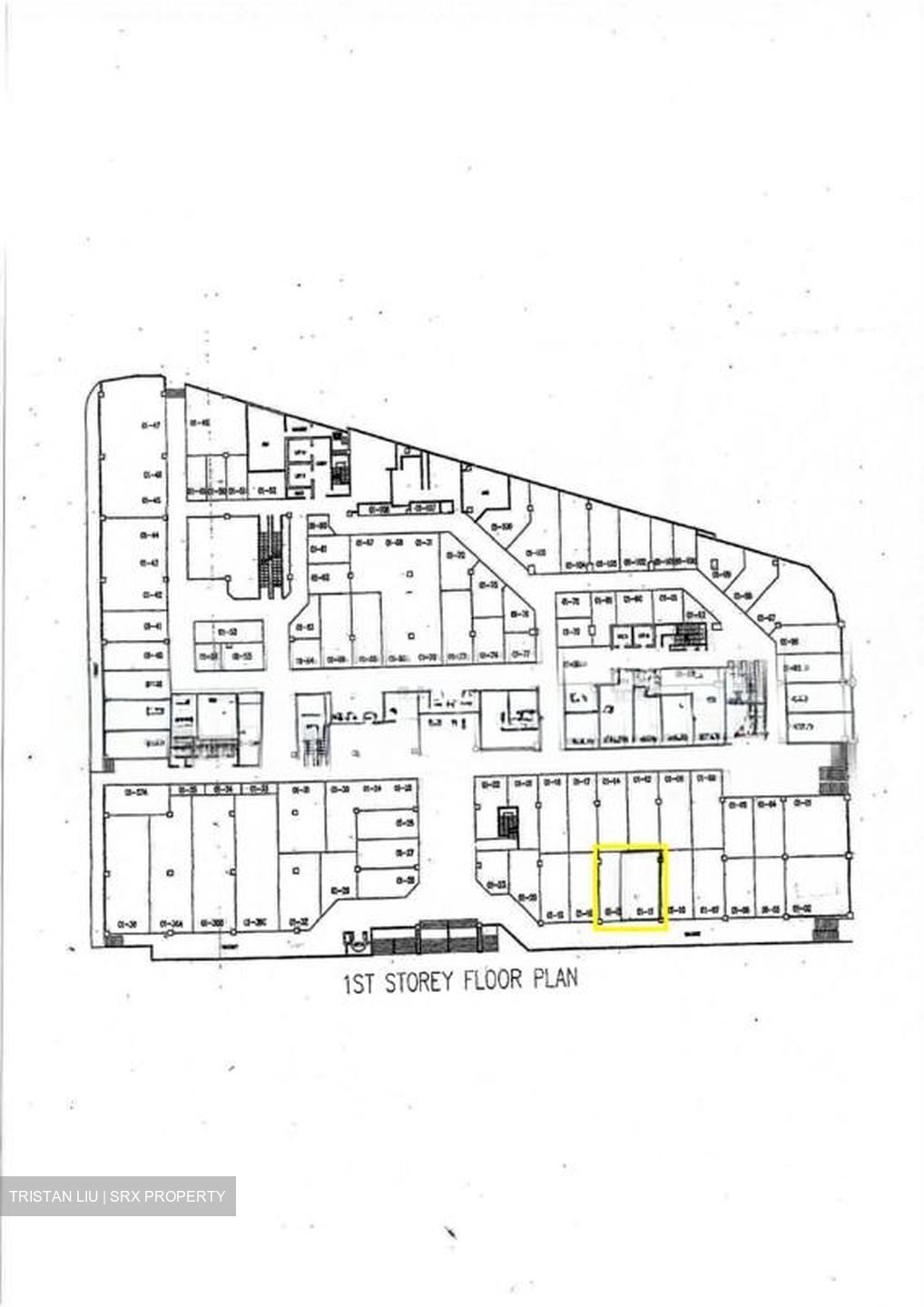 Lucky Plaza (D9), Shop House #529999631
